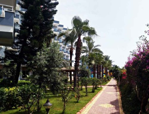 11 Garden 2