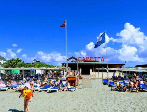 6 Hotel Beach 5