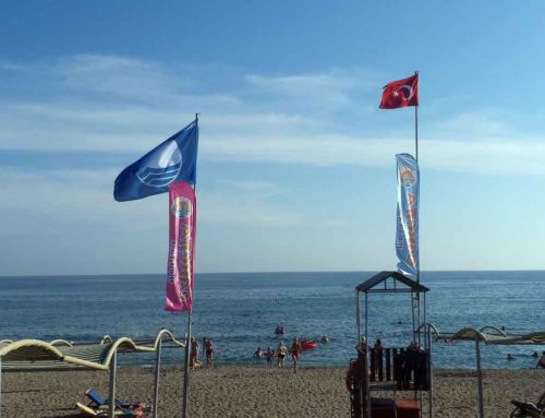 6 Hotel beach 9