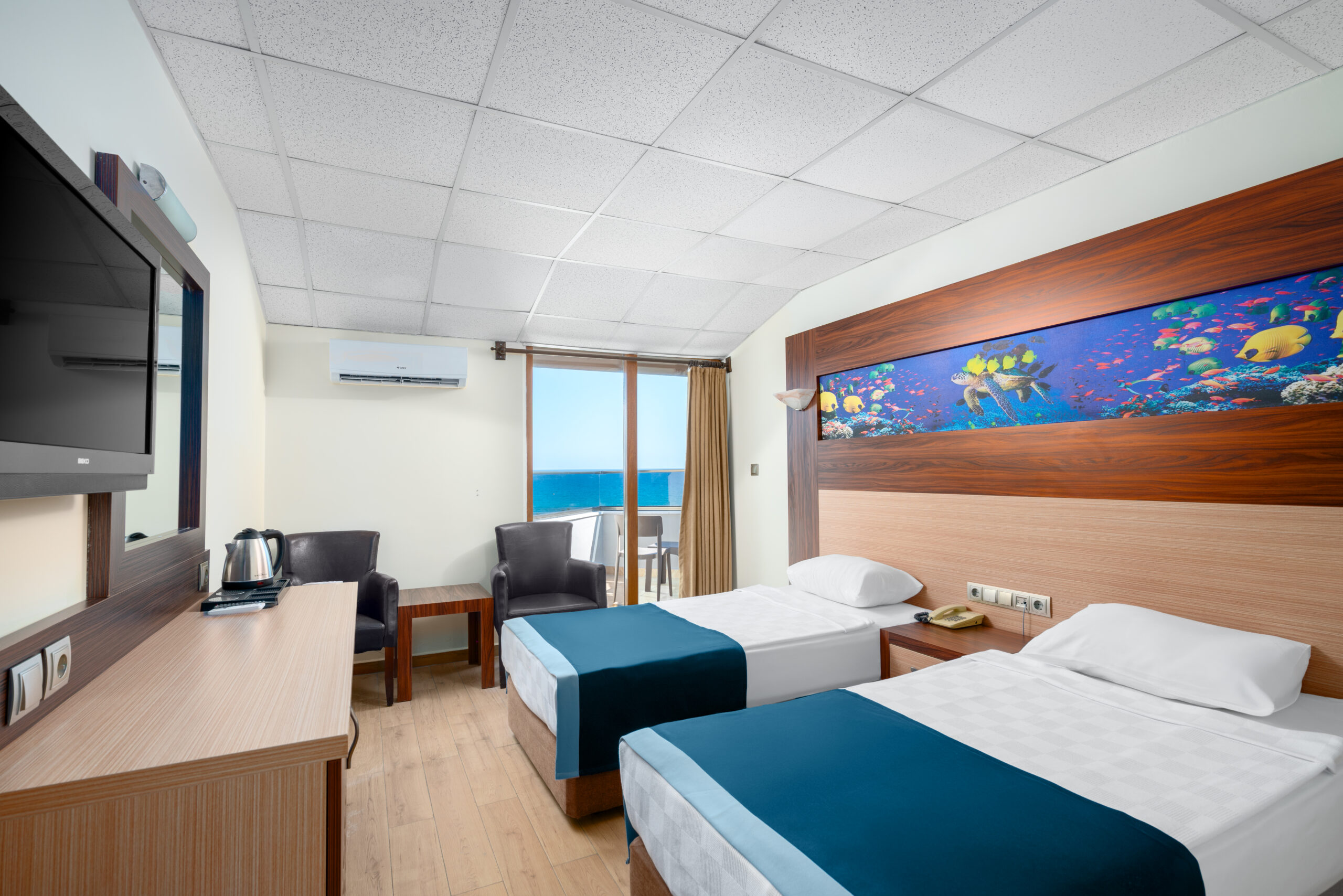 CarettaBeach std oda 10